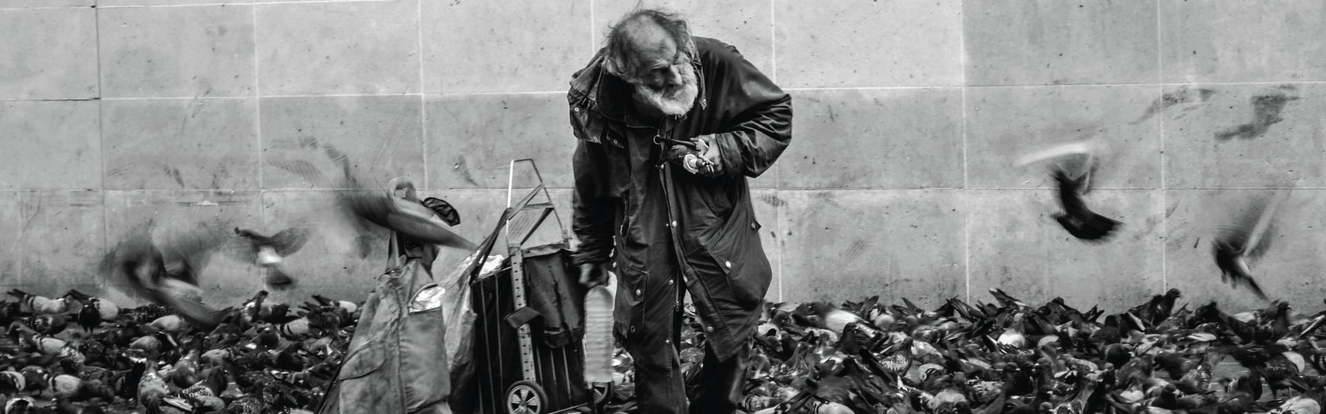 Man feeding pigeons in the street