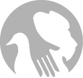 DNFTA logo